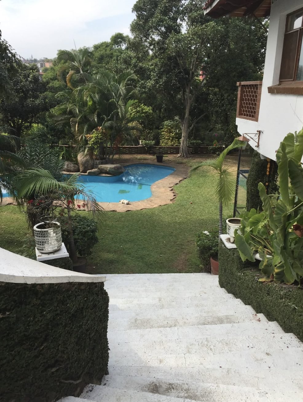 Jardín y alberca privada – casa en venta en Tlaltenango, Cuernavaca, Morelos