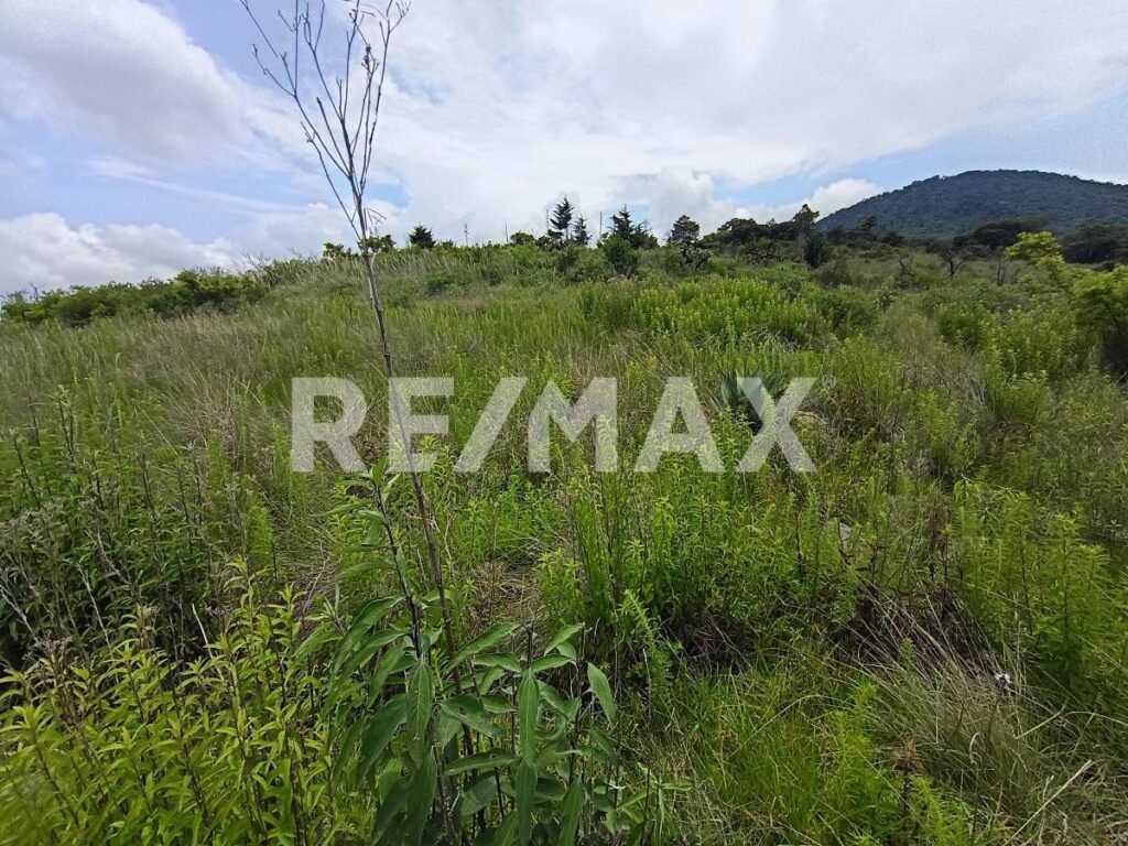 Terreno en venta en Jilotzingo, Estado de México – foto 4
